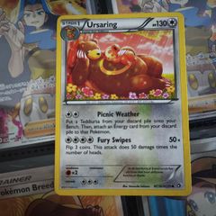 Ursaring ! Radiant Collection ! from Legendary Treasures Set ! 2013 ! Pokemon Card !