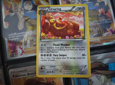 Ursaring ! Radiant Collection ! from Legendary Treasures Set ! 2013 ! Pokemon Card !