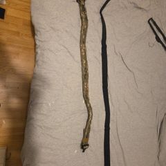 ronin tactical belt