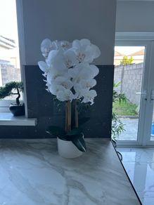 artifical orchid potted plant