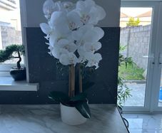 artifical orchid potted plant