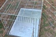 dog crate