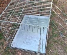 dog crate