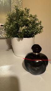 Dior Poison Eau de Toilette 100ml