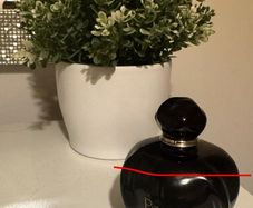 Dior Poison Eau de Toilette 100ml