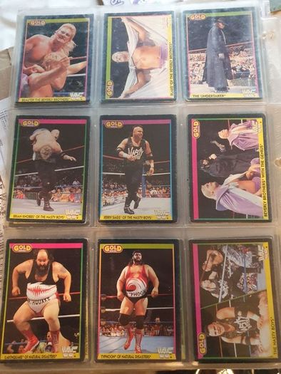WWF Merlin Trading Cards full set of 96