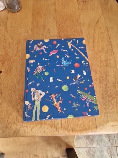 Roald Dahl Treasury childrens book