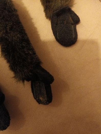 Dublin zoo soft toy