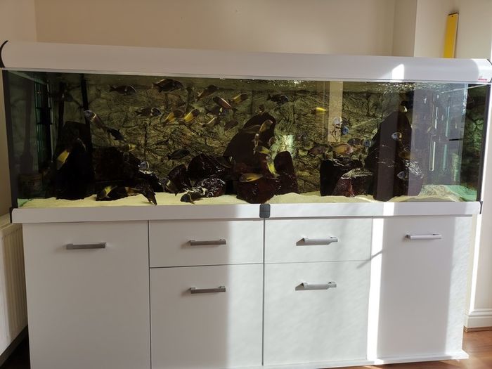Aquarium, Fish tank, 720L Diversa