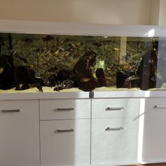 Aquarium, Fish tank, 720L Diversa