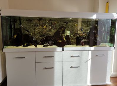 Aquarium, Fish tank, 720L Diversa
