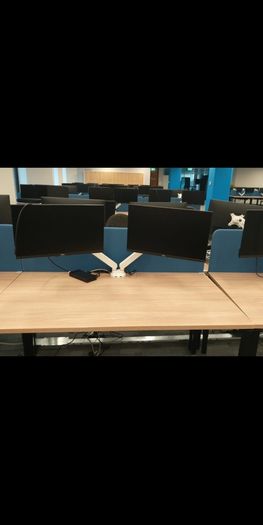 Dell pc dual screen