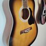 Brand new Richwood  RW-12-Sb acoustic guitar Image 2