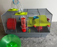 Hamster Cage