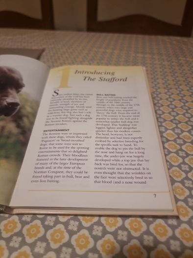 Pet Owners Guide to the Staffordshire Bull Terrier (Hardcover)