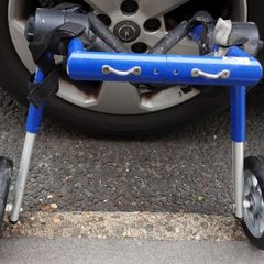 wheels for your poorly dog