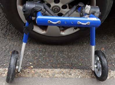 wheels for your poorly dog