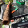 Authentic Aboriginal boomerang and didgeridoo, 88cm Image 2