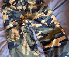 The North Face Trousers