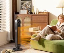Electric Fan Heater