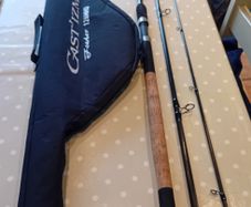 Daiwa Castizm