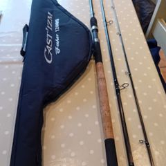 Daiwa Castizm