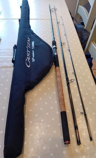 Daiwa Castizm