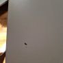 Desk Image 4