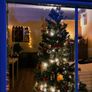 Christmas tree Image 2