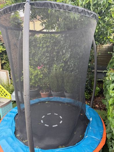 trampoline