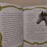 horse Stories Books by miles kelly Image 9