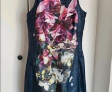 Ted Baker dress