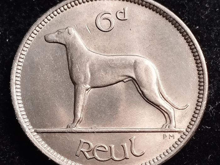Ireland - 1955 - 6 Pence - Wolfhound - UNC - KM.13a - [2693]