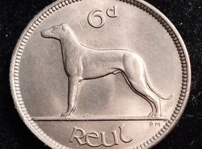 Ireland - 1955 - 6 Pence - Wolfhound - UNC - KM.13a - [2693]