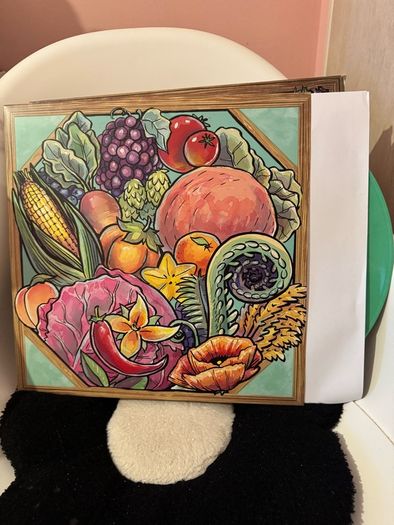 Stardew Valley Soundtrack Box Set Vinyl(Opened)