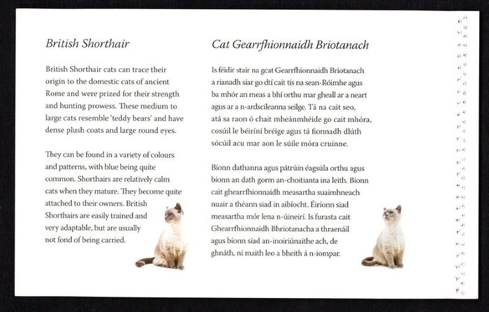 2014 Ireland Cats Commemorative Stamp Booklet Mint Never Hinged (MNH). Hibernian HB202. Photos of contents shown.
