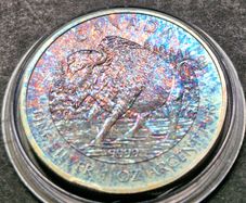 1 Oz 2013 Canada 5 Dollar .9999 Wildlife Series: Bison Toned coin