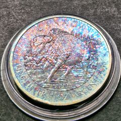 1 Oz 2013 Canada 5 Dollar .9999 Wildlife Series: Bison Toned coin