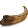 1/1  copy of a prehistoric megaraptor claw Image 3