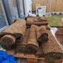 Turf lawn left-overs Image 2