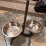 Dog feeding Stayion Image 2