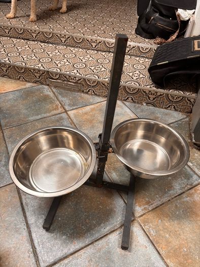 Dog feeding Stayion