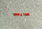 carpet 9ft4 x 16ft