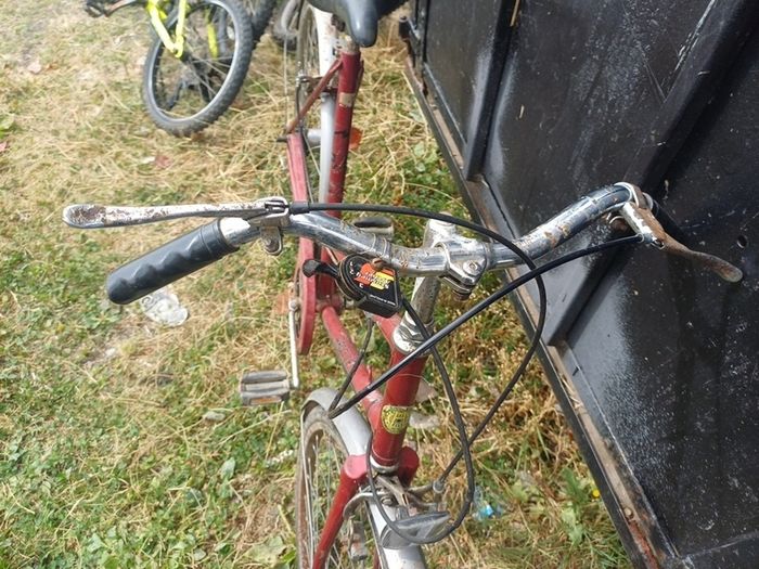 ladies bike