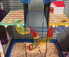 hamster cage
