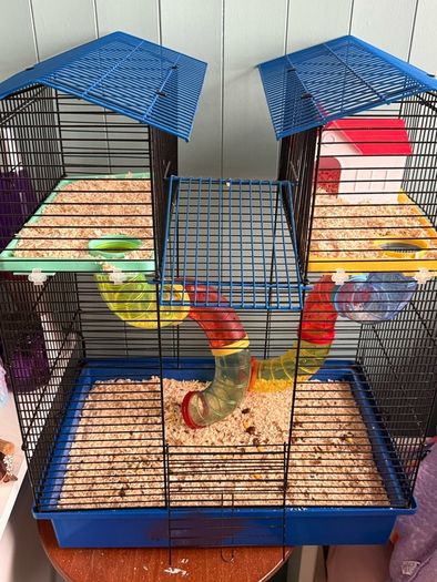 hamster cage