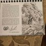29 ink drawings of various tree species by artist S. R. Badmin. It's in binder form with 29 description of each of the  trees. See photos for same. Image 7