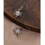 Silver Earrings with Sparkly Gems Image 2