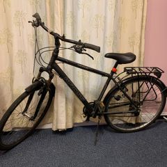Bike Kross Trans Siberian