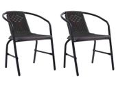 Garden Chairs 2 pcs Plastic Rattan and Steel 110 kg